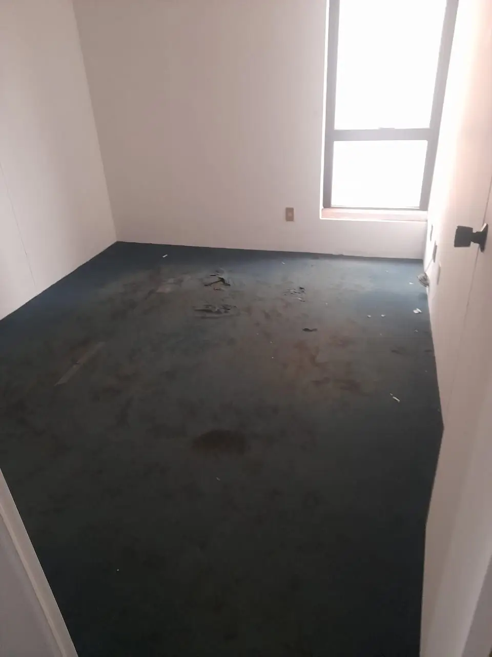 Sala_comercial_010(4)
