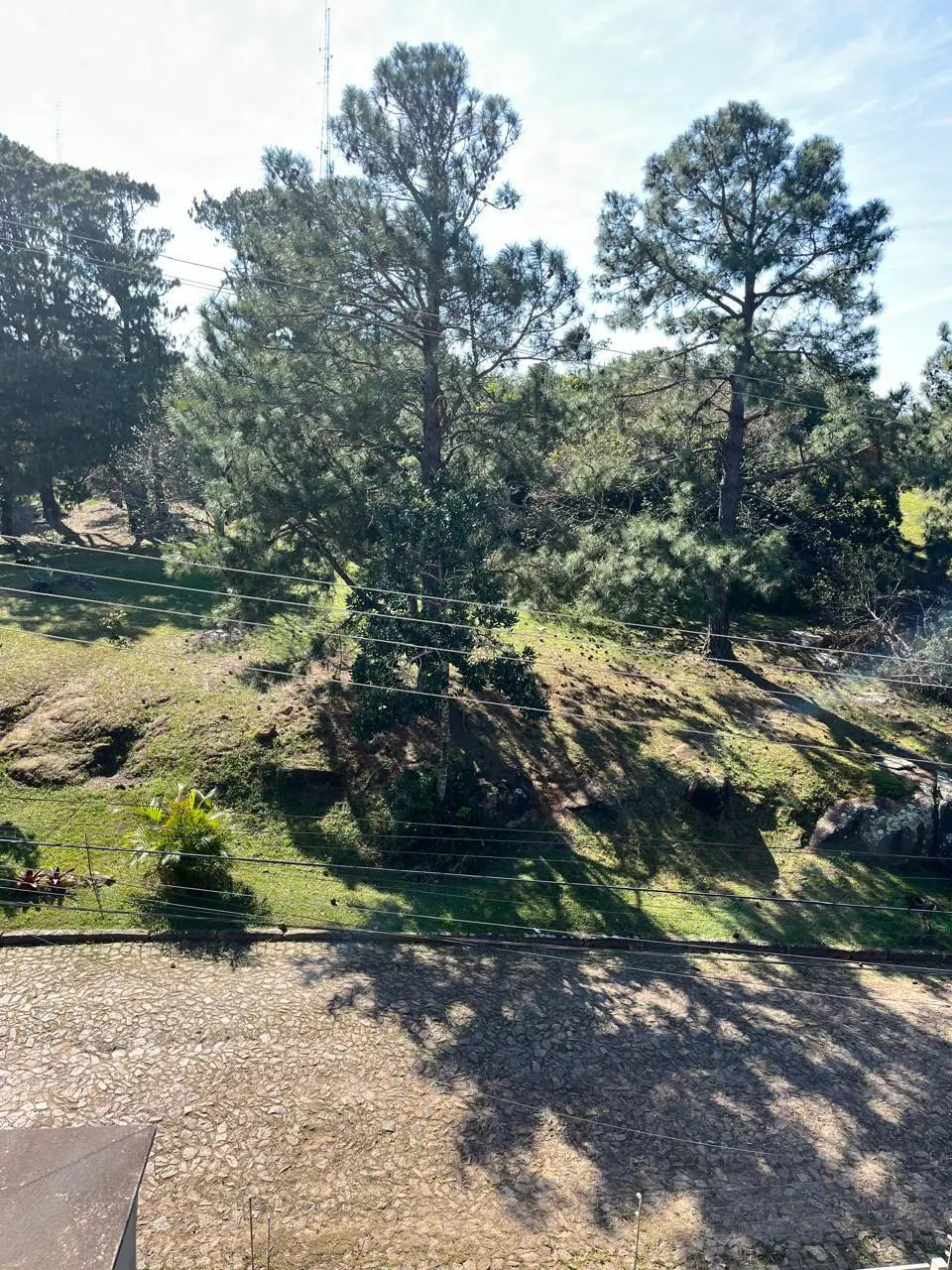 Terreno 018 (9)