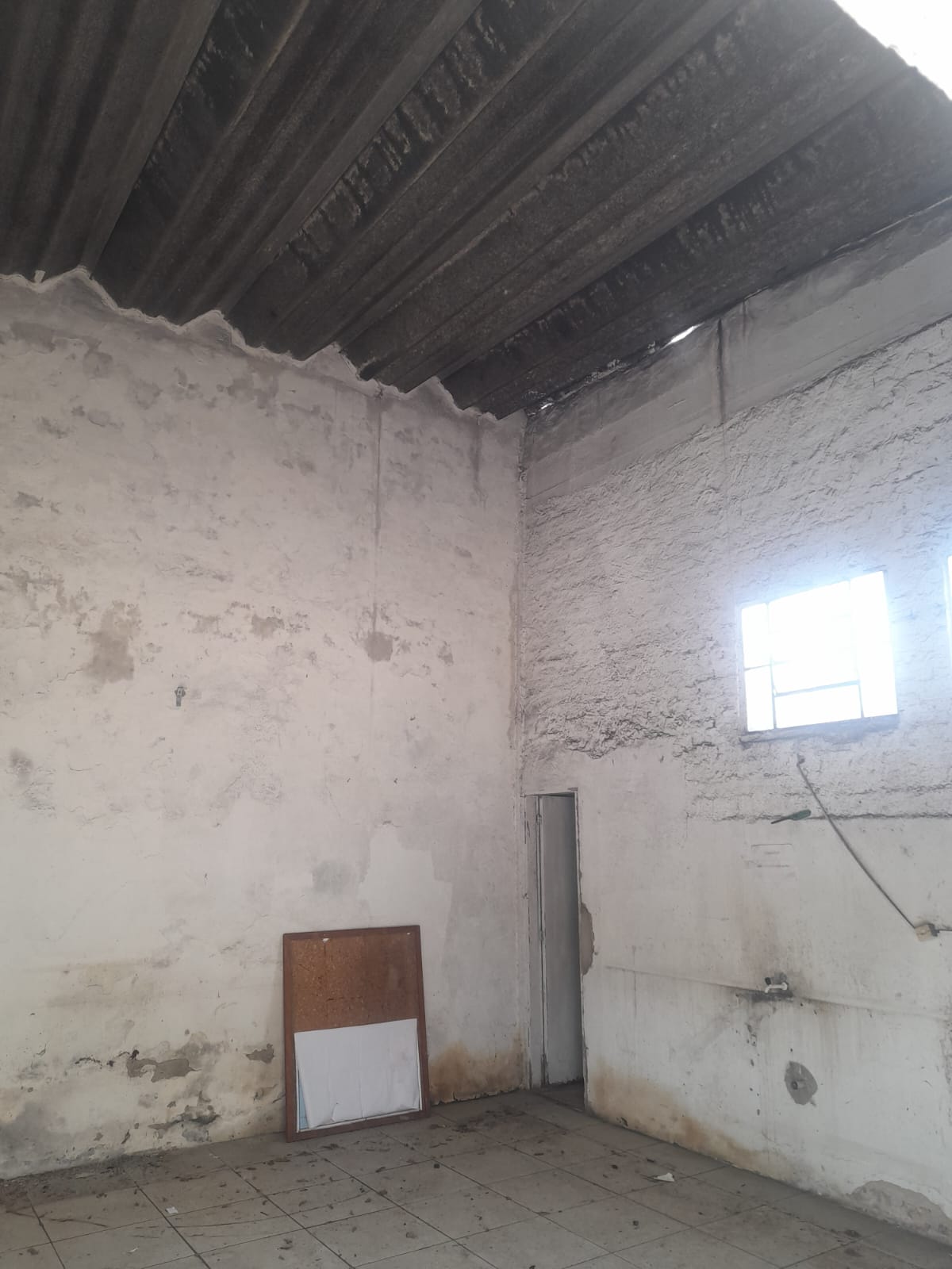 WhatsApp Image 2024-10-29 at 15.08.29 (1)