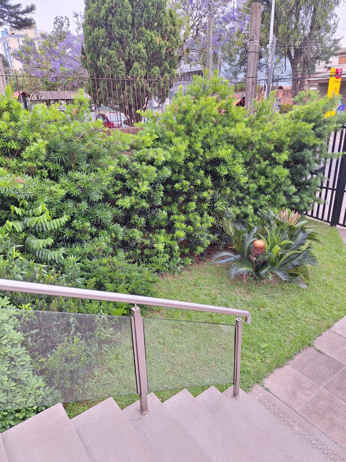 WhatsApp Image 2024-11-28 at 14.24.02 (1)