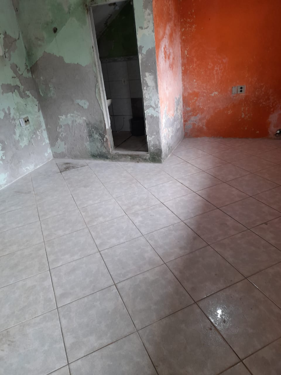 WhatsApp Image 2025-02-26 at 16.55.24 (2)