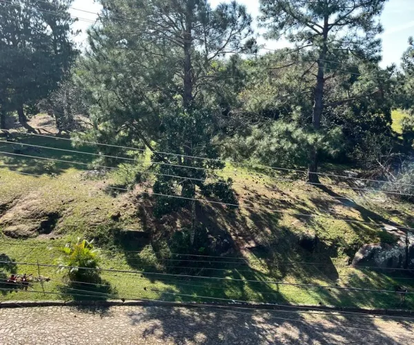 Terreno 018 (9)